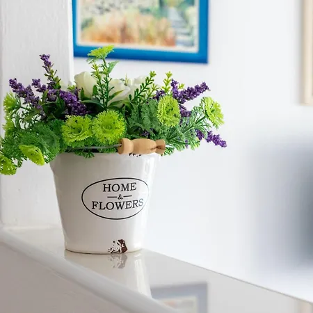 Miandmi Appartement *