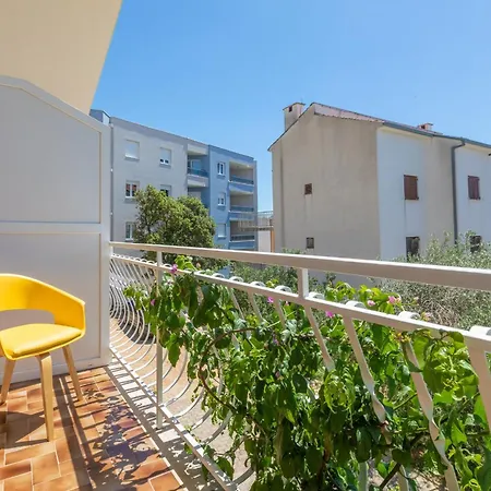 Miandmi * マカルスカ